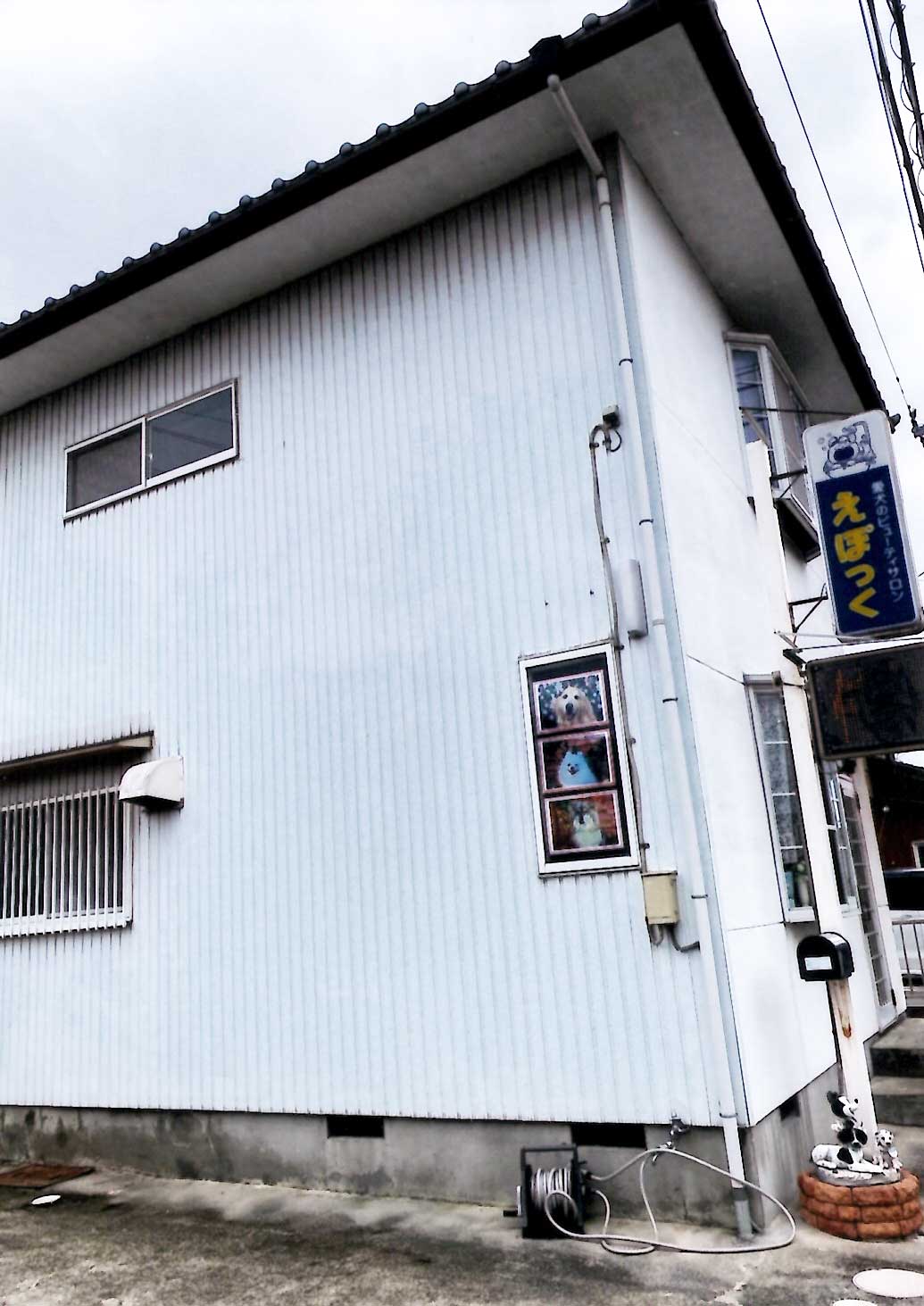 長浜市,ペットサロン,トリミング,えぽっく愛犬ビューティーサロン,犬,カット