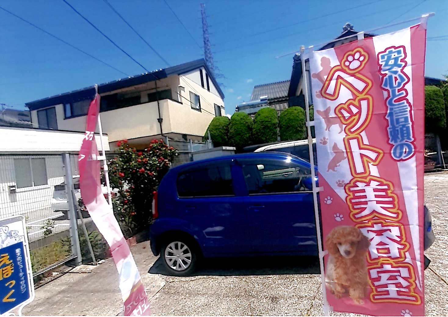 長浜市,ペットサロン,トリミング,えぽっく愛犬ビューティーサロン,犬,カット